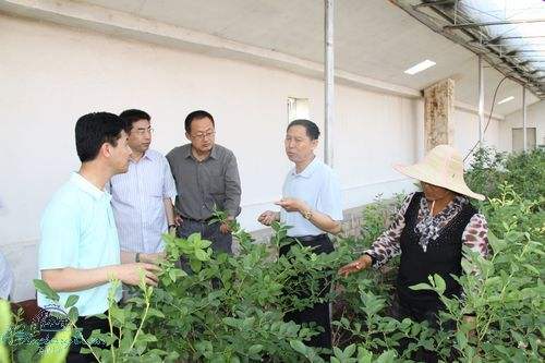 植物冠層分析儀客戶